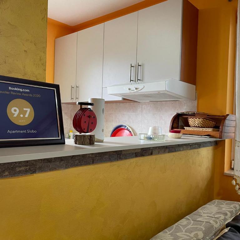 Apartman Slobo Zlatibor - Apartman sa 1 Spavaćom Sobom - 12