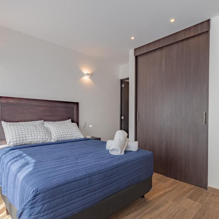 The Cozy Corner Apartment near Condesa, Roma and Chapultepec Park - Two-Bedroom Apartment - 13
