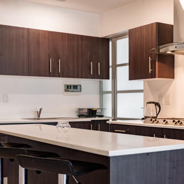 The Cozy Corner Apartment near Condesa, Roma and Chapultepec Park - Two-Bedroom Apartment - 13