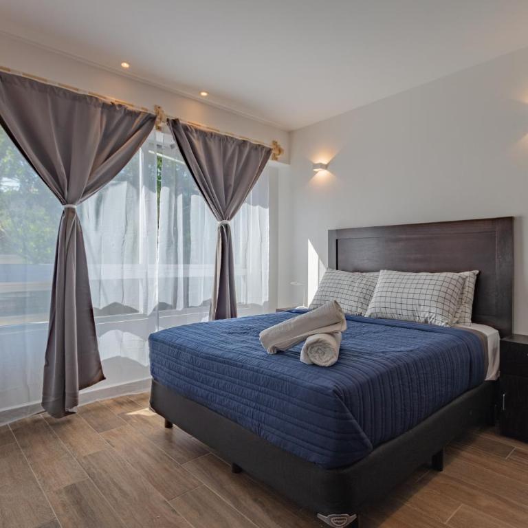 The Cozy Corner Apartment near Condesa, Roma and Chapultepec Park - Two-Bedroom Apartment - 20