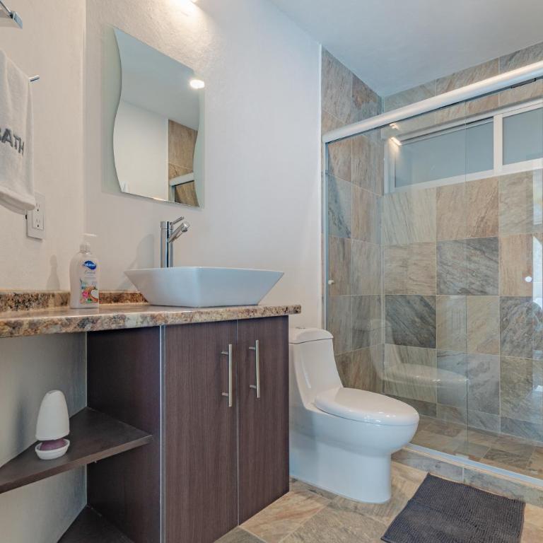 The Cozy Corner Apartment near Condesa, Roma and Chapultepec Park - Two-Bedroom Apartment - 22