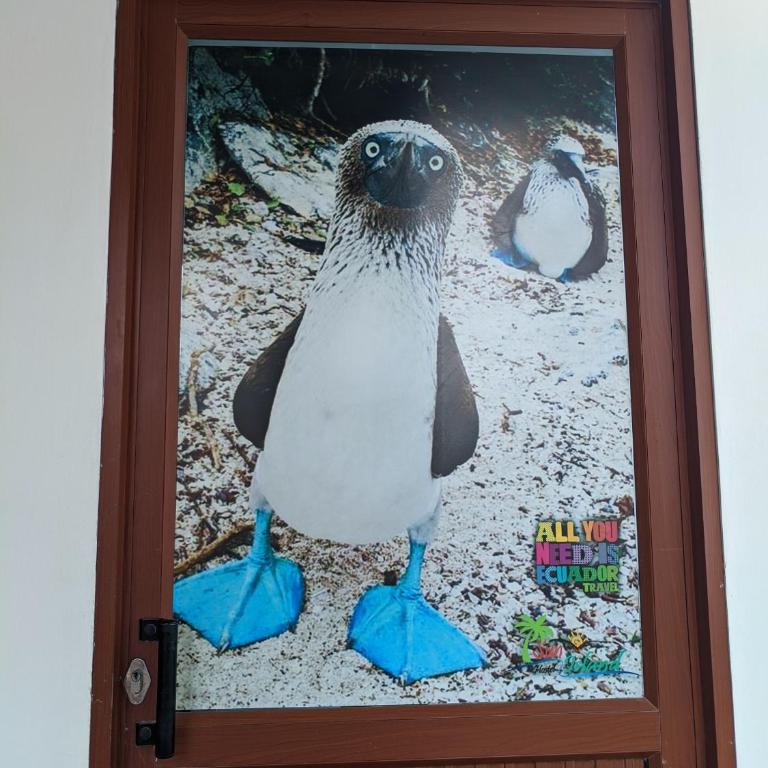 Sun Island - Double or Twin Room - 4