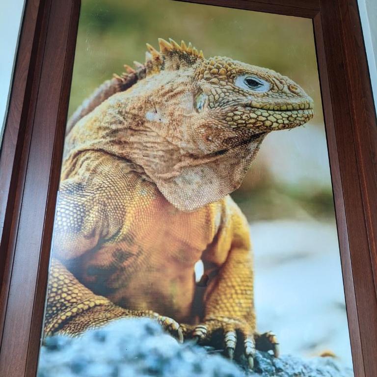 Sun Island - Family Room with Sea View - 1