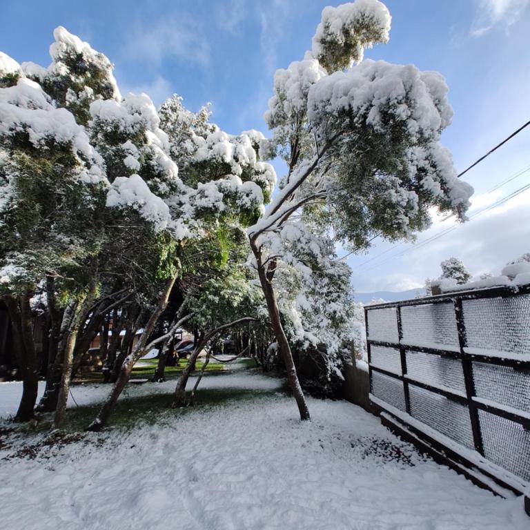 Pinar del Ventana Bariloche - Apartamento - 19