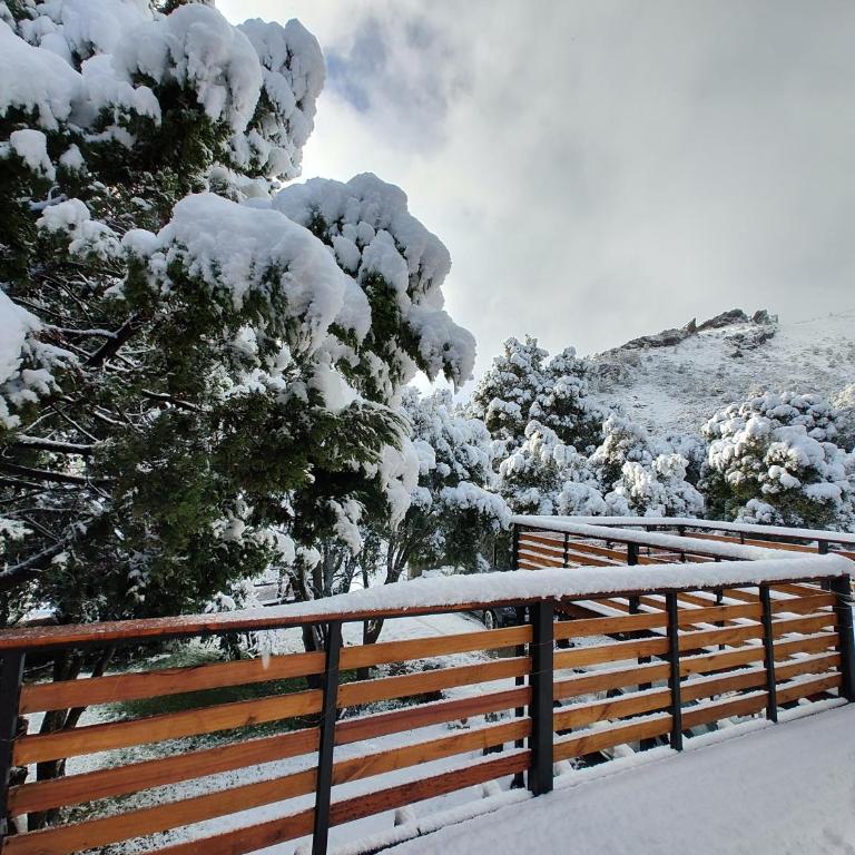 Pinar del Ventana Bariloche - Apartamento - 22