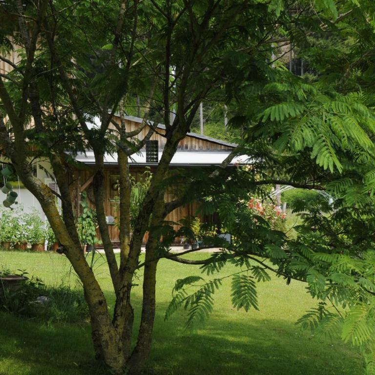 das stille Paradies - Apartment mit 2 Schlafzimmern - 19