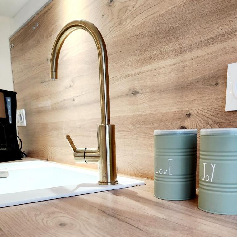 Appartements LE 56, calme, entre ville et lac - SEJOURAIXLESBAINS - Appartamento con 1 Camera da Letto - 14