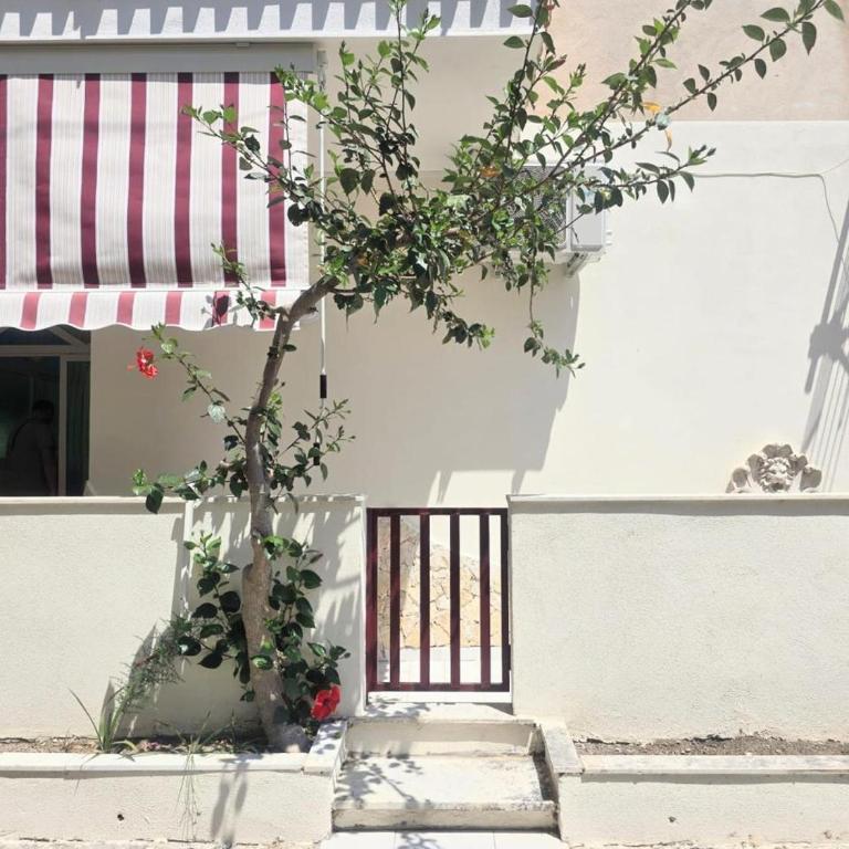 CASA VACANZE Bella - Appartamento con 1 Camera da Letto - 20