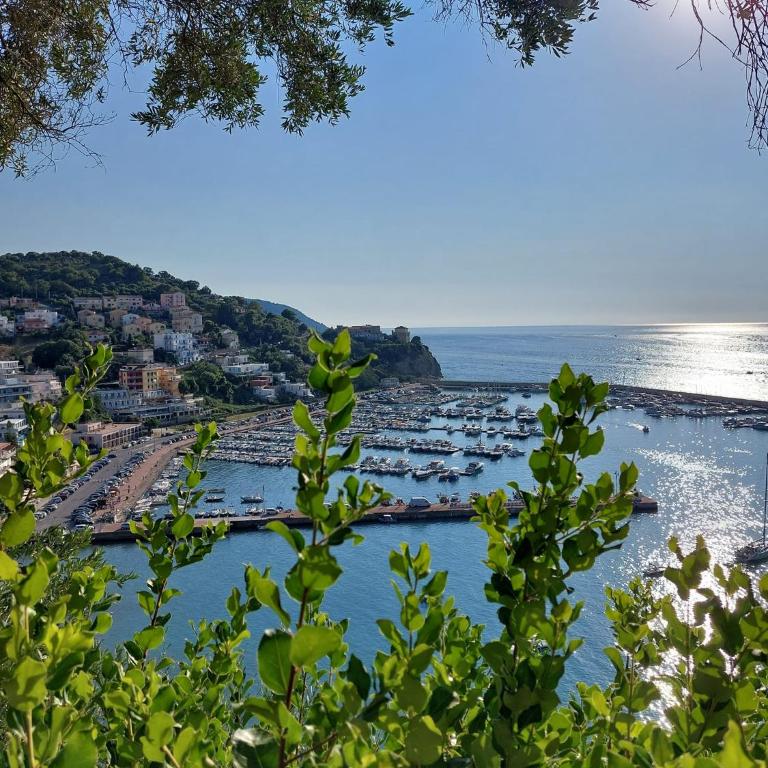 Casa Vacanze RosMary - Appartamento con 1 Camera da Letto - 3
