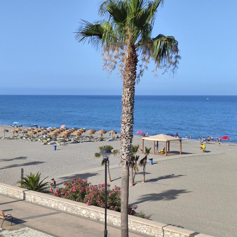 Apartamento Reformado con vistas al Mar - Apartamento de 2 dormitorios con terraza - 4