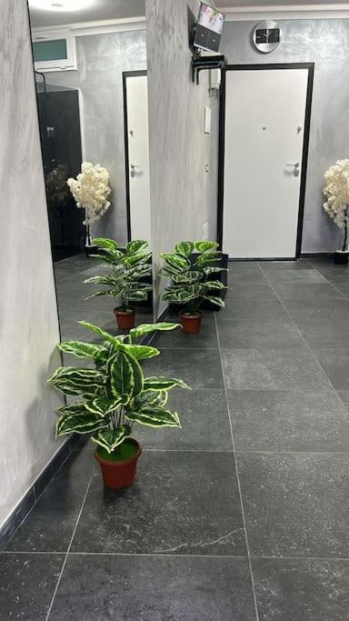 Marilyn Rooms - Suite Catania center - One-Bedroom Apartment - 9