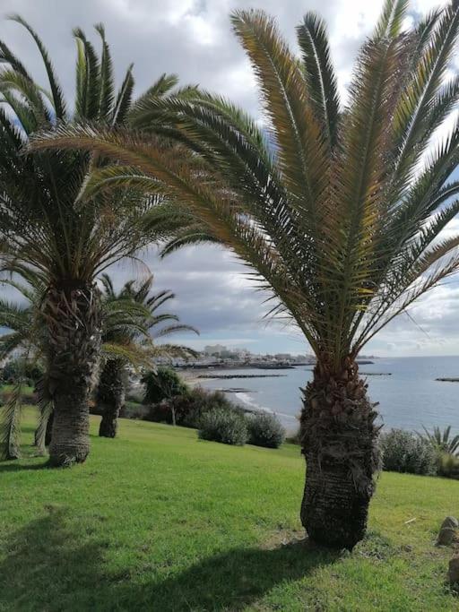 ROCKIN' VIEW COSTA ADEJE - 2 br, great terrace, parking, pool - Two-Bedroom Apartment - 33