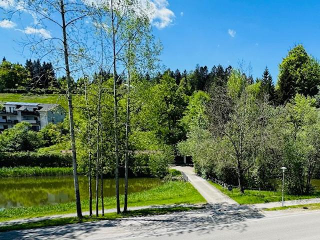 Weiherblick - Appartamento con 3 Camere da Letto - 17