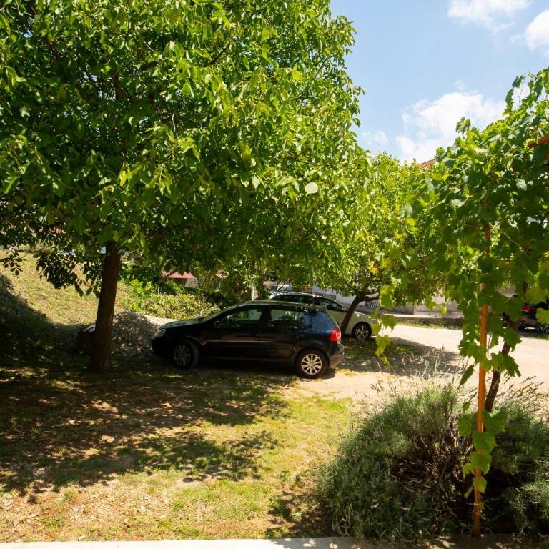 Apartman Mijanovic - Apartman sa 1 Spavaćom Sobom - 45