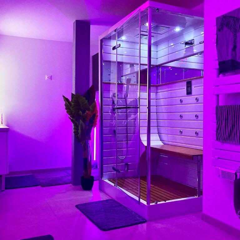 La bulle cathédrale SPA - SAUNA - HAMMAM - CHAMPAGNE - Appartement 1 Chambre - 21