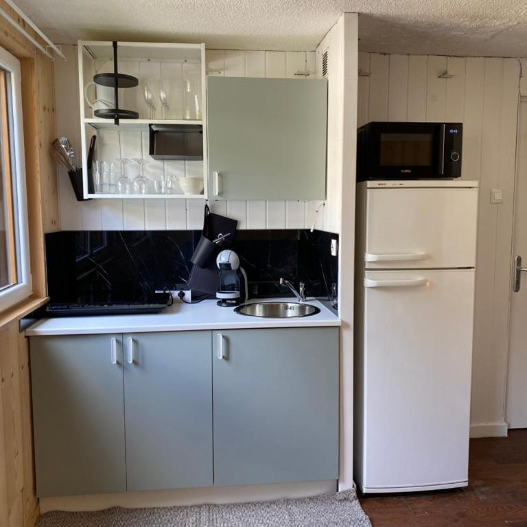 Studio cosy au pied de la télécabine pour l Alpe d Huez Parking privé - Appartement 1 Chambre - 6