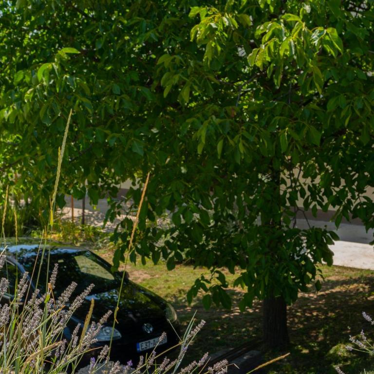 Apartman Mijanovic - Apartman sa 1 Spavaćom Sobom - 47