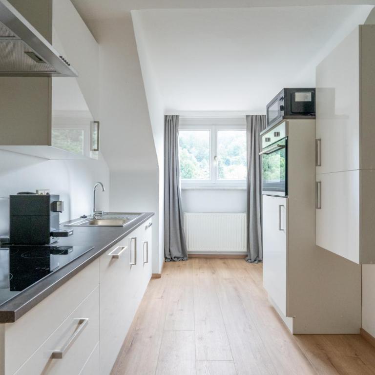 FarawayHomes Studio Leoben #K9 - Appartement 1 Chambre - 21