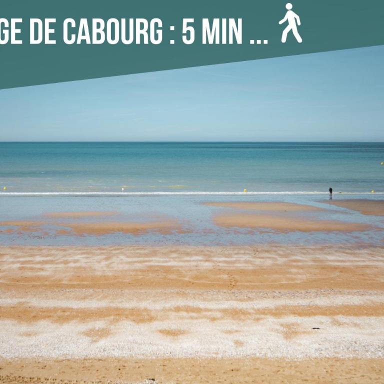 Duplex T3 refait a neuf sur Cabourg 2h30 de paris - Apartamento de 2 dormitorios - 12