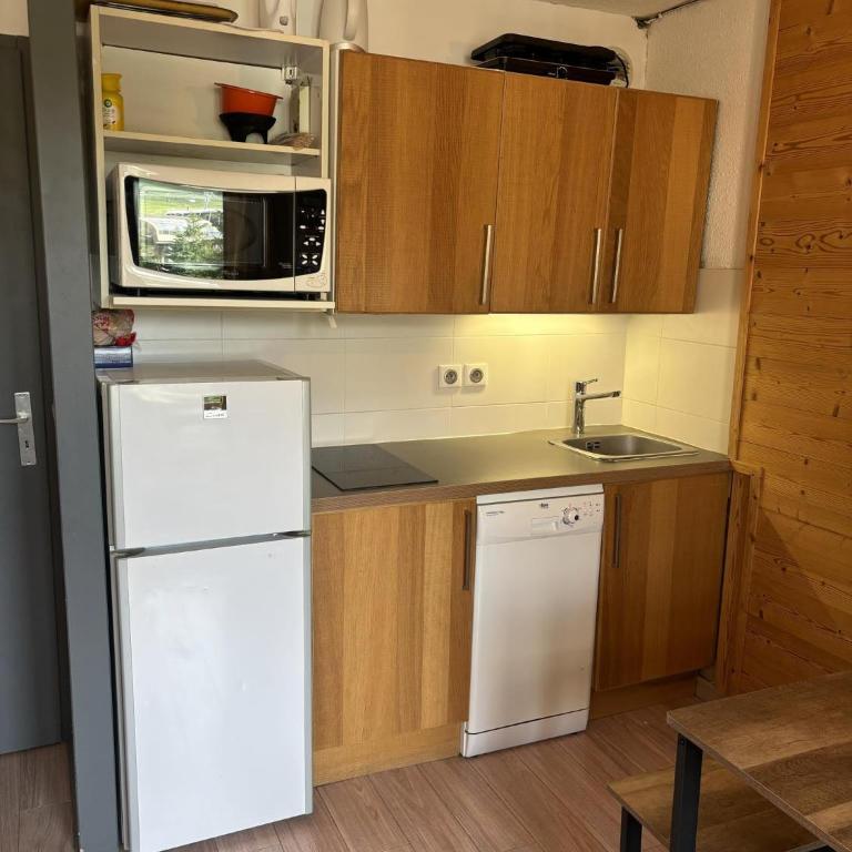 logement chaleureux 1 chamb pied des pistes - Appartement 1 Chambre - 9