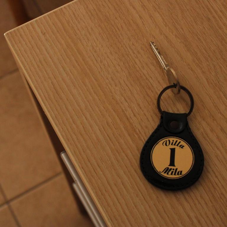 Villa Mila - Apartman sa Terasom - 25
