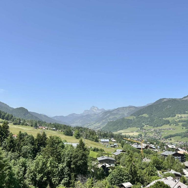 Appartement 3 pièces + cabine à Megève, 6 couchages, proche pistes et téléphérique - FR-1-597-170 - Appartement - 18