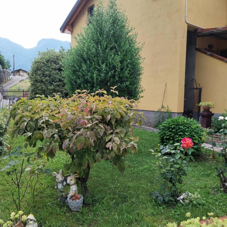 Casa Peppo - Appartamento con 1 Camera da Letto - 26