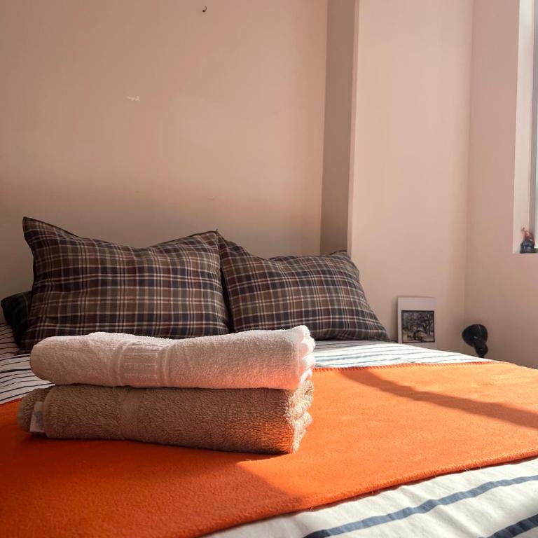 Soleado y hermoso departamento - Apartamento de 1 dormitorio - 13