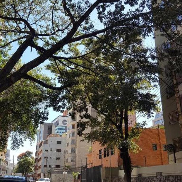 Apartamento cerca del Boulevard de Sabana Grande y zona comercial - One-Bedroom Apartment - 9