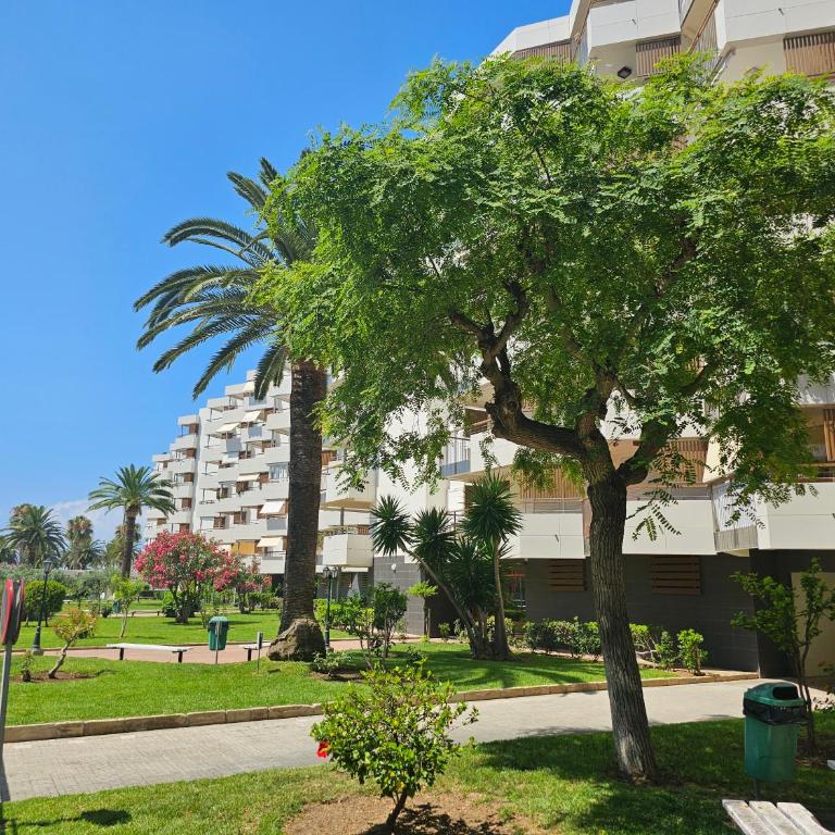 SalouTrip - Formentor - Apartamento de 1 dormitorio - 25