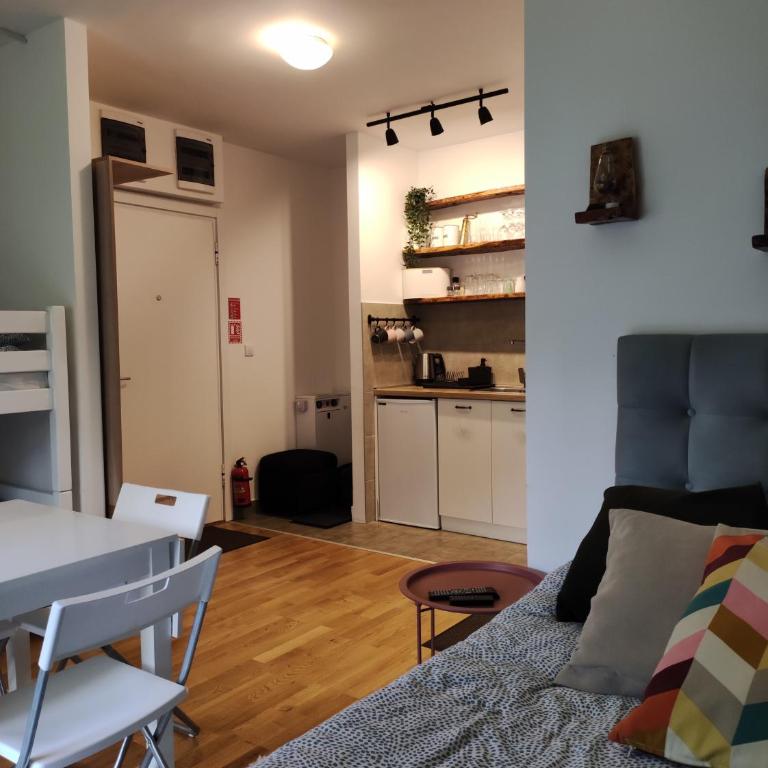 Apartman Vitko Divčigora - Deluks Studio sa Bračnim Krevetom (King-size) - 10
