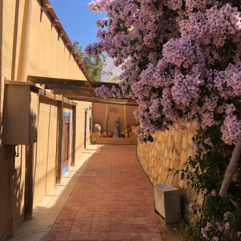 Cabañas Elquimista - Bungalow (6 Adults) - 17