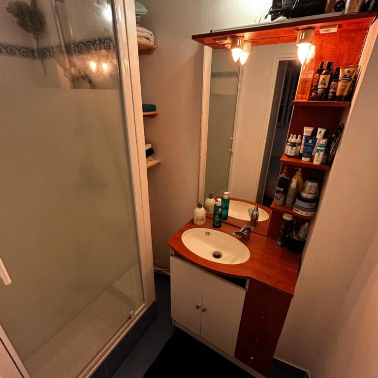 Appartement meublé très bien situé - Appartement 1 Chambre - 6