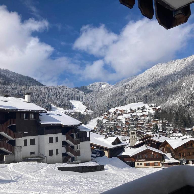 Appartement cosy au cœur de La Clusaz, ski au pied, avec terrasse et WiFi - FR-1-459-229 - Estudio - 12
