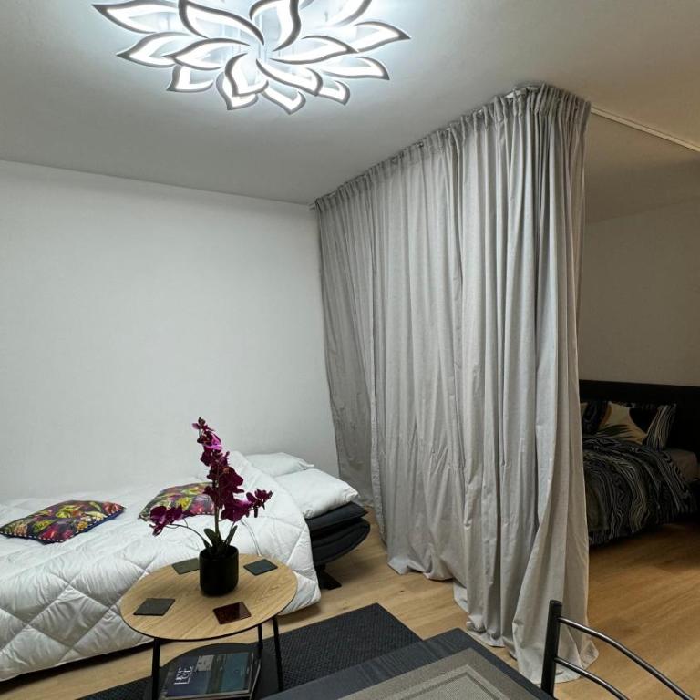 Apt Juan-les-Pins Clim-Plage 200m -Piscine - Monolocale - 13