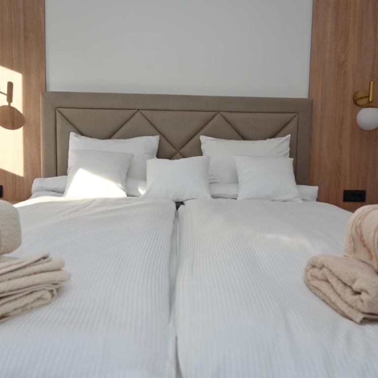 Apartman Lokica S Vrnjačka Banja - One-Bedroom Apartment - 9