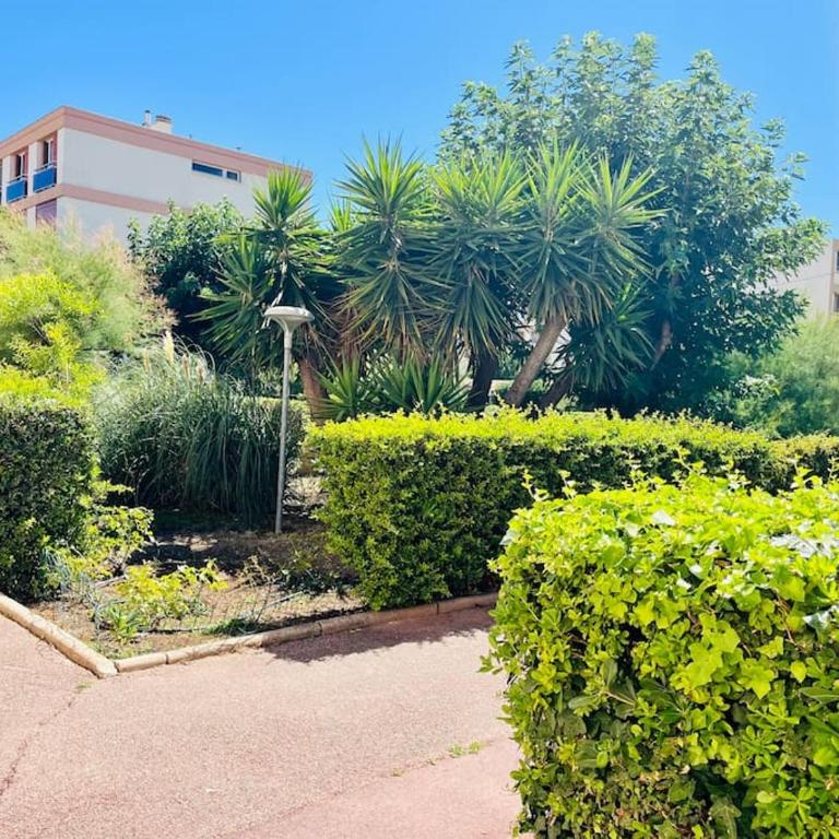 L'Escale T2 neuf à 50m de la plage - Appartement 1 Chambre - 5