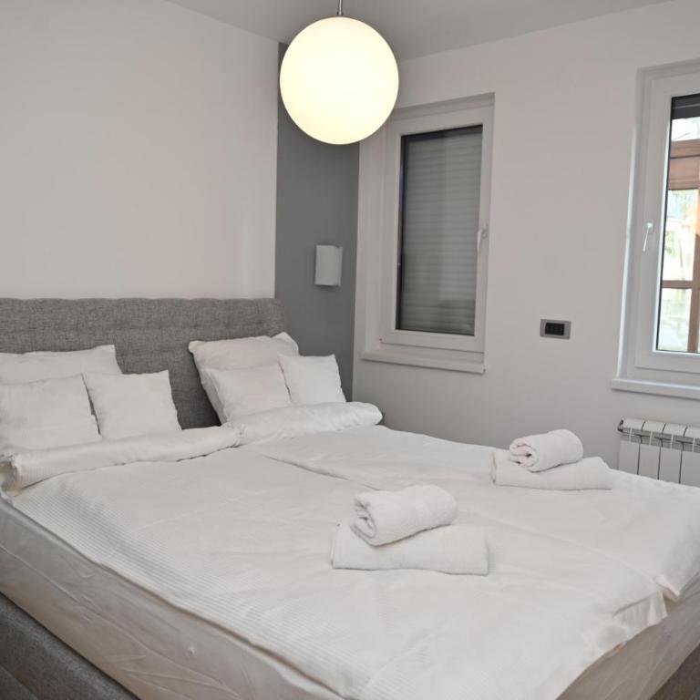 Apartman Aleksa 5 VRNJAČKA BANJA - Apartman sa 1 Spavaćom Sobom - 4