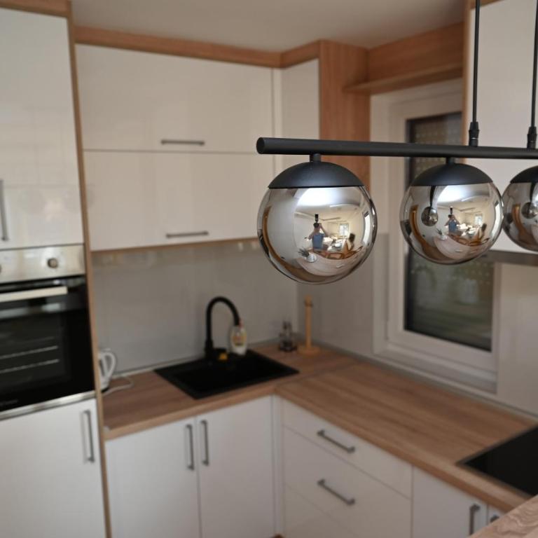 Apartman Aleksa 5 VRNJAČKA BANJA - Apartman sa 1 Spavaćom Sobom - 8