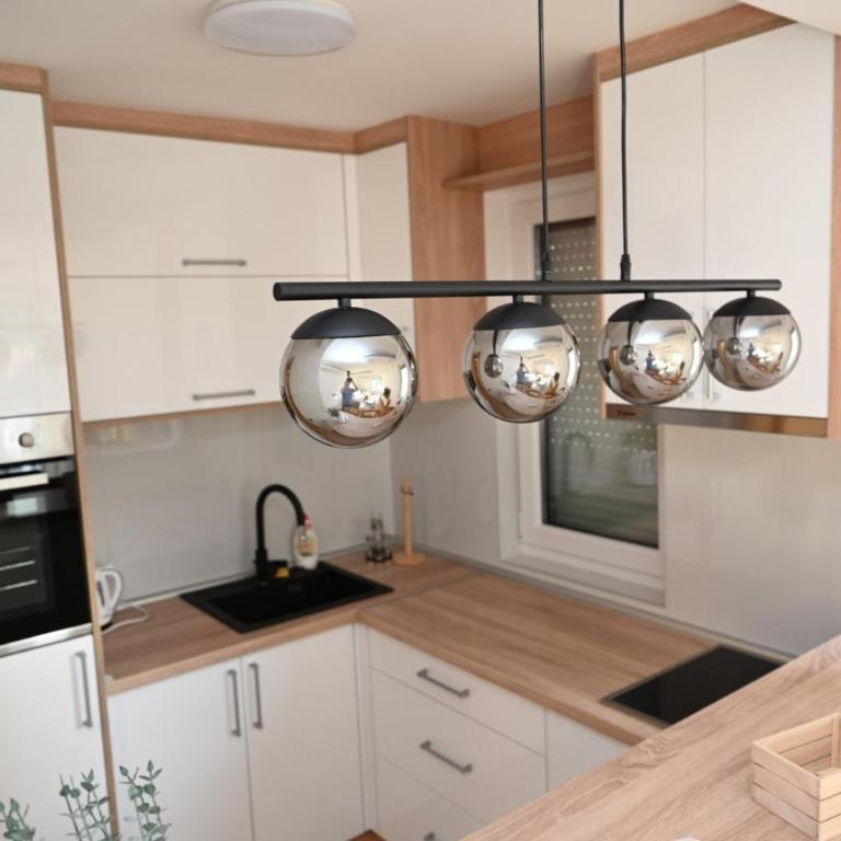 Apartman Aleksa 5 VRNJAČKA BANJA - Apartman sa 1 Spavaćom Sobom - 9