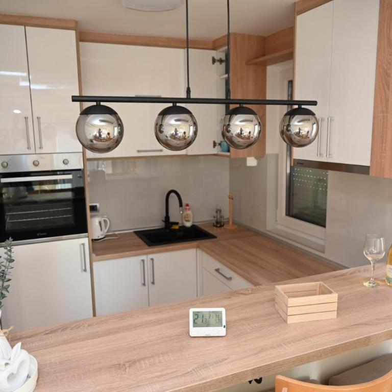 Apartman Aleksa 5 VRNJAČKA BANJA - Apartman sa 1 Spavaćom Sobom - 15