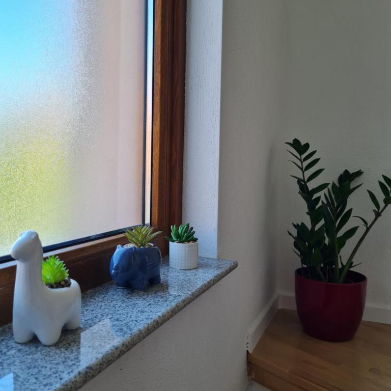 Apartment MAYA - Apartman sa 2 Spavaće Sobe - 20