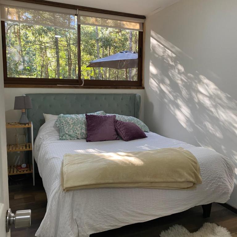 Refugio Los Coigues Casa en bosque con tinaja - Three-Bedroom House - 51
