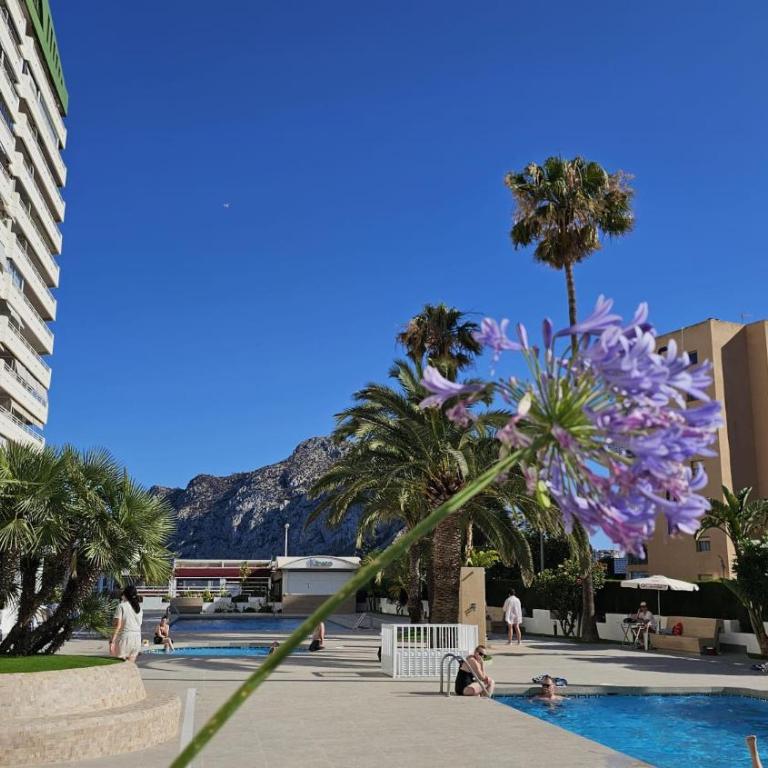 Apartamentos Esmeralda 111 B - Apartamento de 1 dormitorio - 17