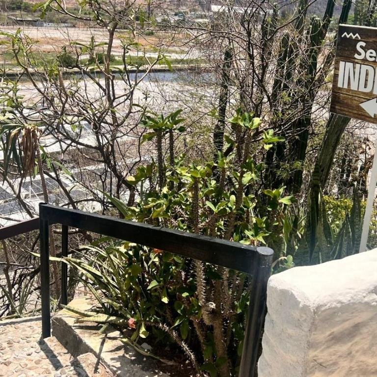Apto con servicio de playa, terraza con vista 360 - Apartamento - 61
