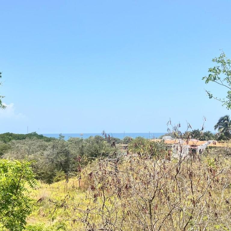 Apto con servicio de playa, terraza con vista 360 - Apartamento - 76