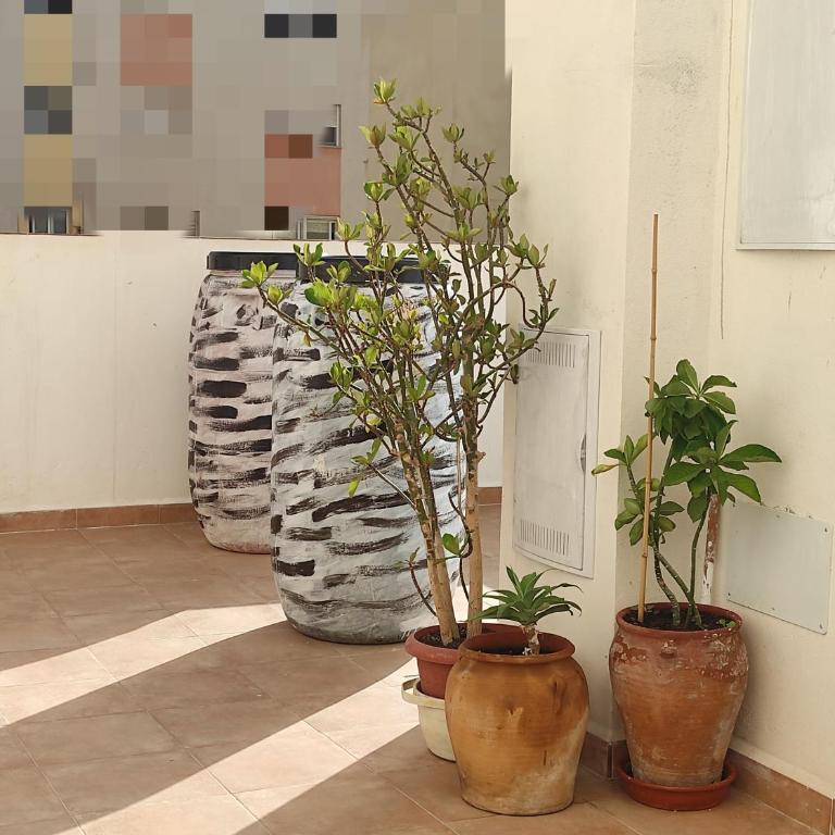 Con terraza y muy cerca de la playa,centro y estación de tren - Casa de 4 dormitorios - 15