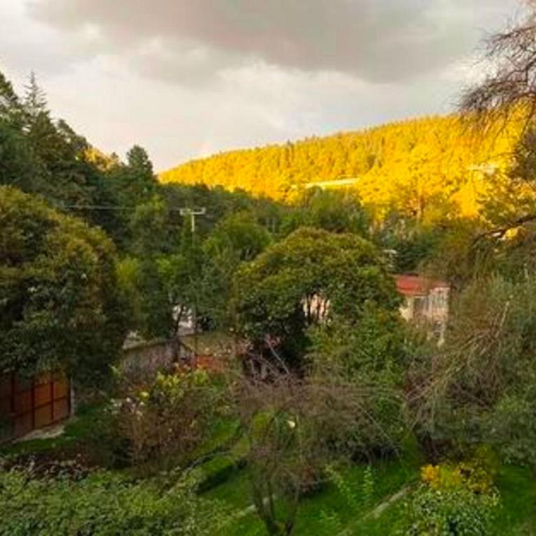 Alojamiento tipo Cabaña, rodeado de Bosque - King Room with Mountain View - 14