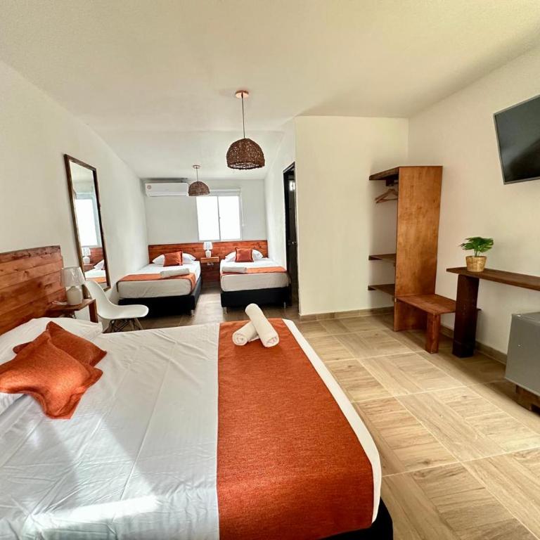 Eco-Hotel Palma É Coco - Quadruple Room with Private Bathroom - 7