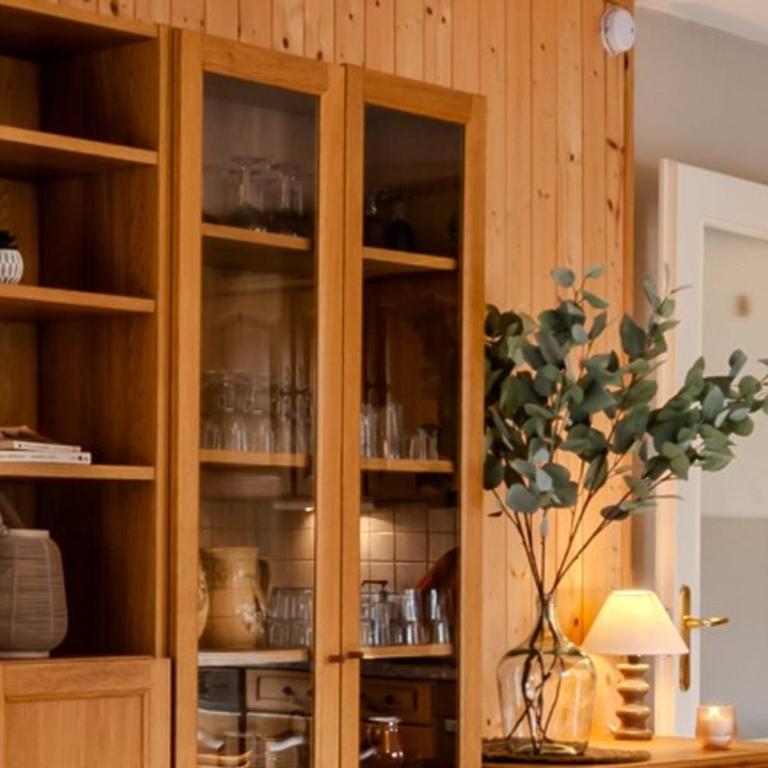 Slow Chalet Thônes lake & mountain 15 min to ski lift balcony parking - Appartement - 27